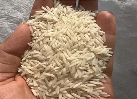 تصویر 1 از قیمت خرید برنج مازندران طارم اصل عمده به صرفه و ارزان
