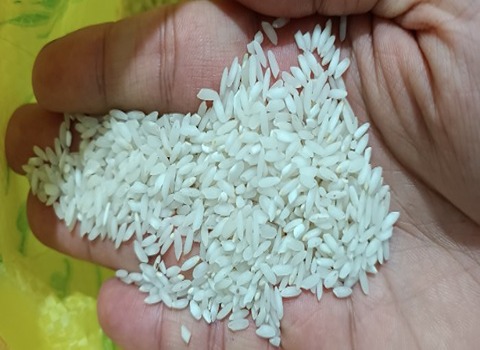 فروش برنج اهوازی عنبربو + قیمت خرید به صرفه