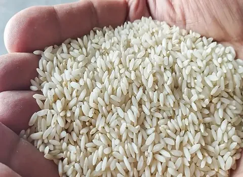 تصویر 4 از فروش برنج اهوازی عنبربو + قیمت خرید به صرفه