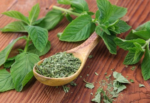 تصویر 4 از خرید نعنا خشک صادراتی + قیمت فروش استثنایی