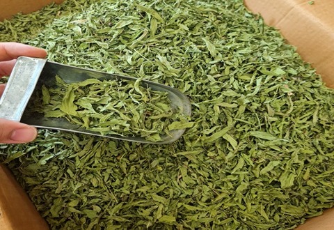 تصویر 2 از خرید نعنا خشک صادراتی + قیمت فروش استثنایی