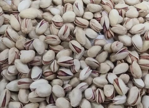 تصویر 1 از فروش پسته رقم عباسعلی + قیمت خرید به صرفه
