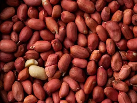 تصویر 2 از خرید و قیمت بادام زمینی صادراتی + فروش عمده