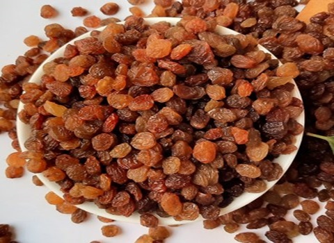 تصویر 1 از خرید کشمش سلطانی ملایر + قیمت فروش استثنایی