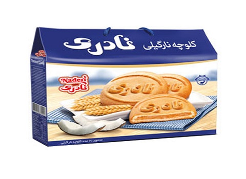 تصویر 4 از فروش کلوچه نارگیلی نادری + قیمت خرید به صرفه