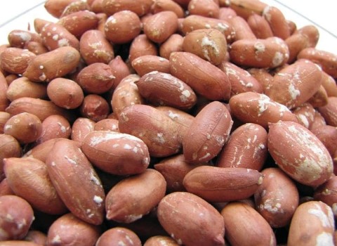 تصویر 1 از خرید بادام زمینی فله آستانه + قیمت فروش استثنایی