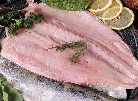 تصویر 4 از قیمت خرید ماهی قزل آلای پرورشی + فروش ویژه