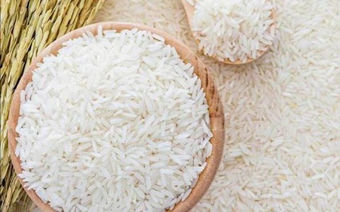 تصویر 2 از خرید برنج کامفیروز اصلی +‌ قیمت فروش استثنایی