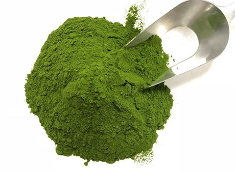 تصویر 3 از قیمت خرید یونجه خشک خرگوش + فروش ویژه