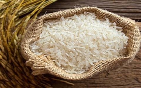 تصویر 1 از خرید و قیمت برنج کامفیروزی اعلا + فروش عمده