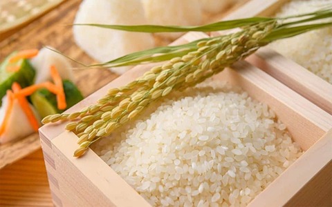 تصویر 3 از خرید و قیمت برنج کامفیروزی اعلا + فروش عمده