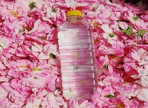 قیمت خرید عرق گلاب دو آتیشه عمده