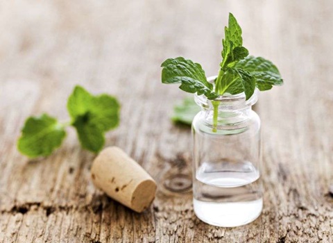 تصویر 2 از فروش عرق بیدمشک سنتی + قیمت خرید به صرفه