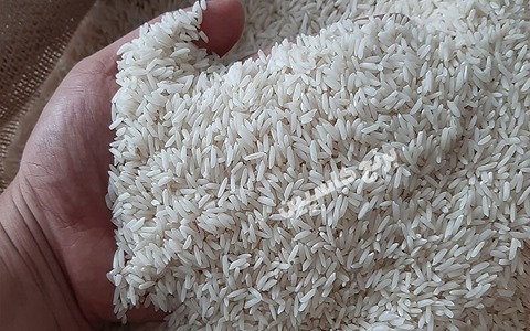 تصویر 4 از قیمت خرید برنج چمپا محلی با فروش عمده