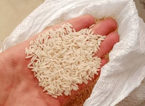 تصویر 4 از خرید و فروش برنج عنبربو کارون با شرایط فوق العاده