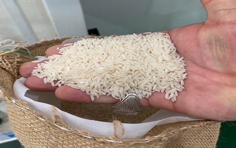 تصویر 4 از فروش برنج دونوج وحشی + قیمت خرید به صرفه