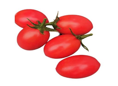 تصویر 4 از قیمت گوجه گلخانه ای جیرفت + خرید باور نکردنی