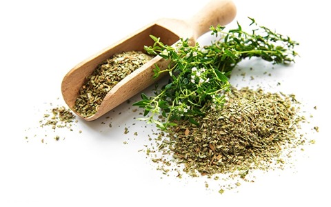 تصویر 1 از فروش آویشن کوهی اردبیل + قیمت خرید به صرفه