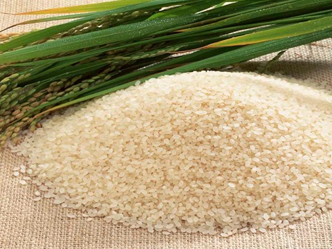 تصویر 2 از قیمت برنج نیم دانه عنبر بو + خرید باور نکردنی