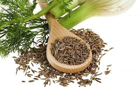 تصویر 2 از فروش گیاه دارویی رازیانه + قیمت خرید به صرفه