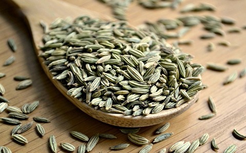 تصویر 3 از فروش گیاه دارویی زنیان + قیمت خرید به صرفه