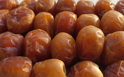 تصویر 3 از فروش خرمای برحی سطلی + قیمت خرید به صرفه