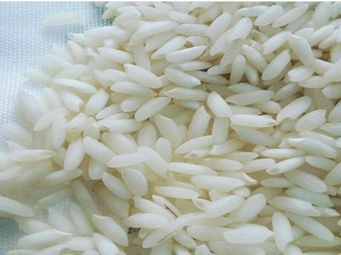 تصویر 2 از خرید و قیمت برنج چمپای میداوود + فروش عمده