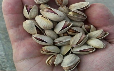 تصویر 4 از خرید پسته خنجری دامغان + قیمت فروش استثنایی