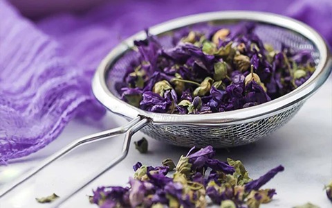 تصویر 2 از فروش گیاه دارویی پنیرک + قیمت خرید به صرفه