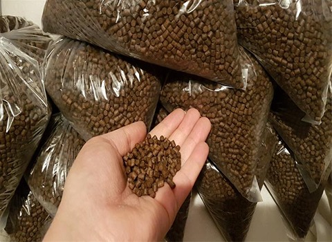 تصویر 3 از قیمت غذای ماهی مالزی + خرید باور نکردنی