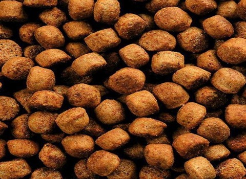 تصویر 4 از قیمت غذای ماهی بیومار + خرید باور نکردنی