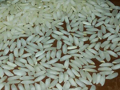 تصویر 1 از خرید و قیمت برنج عنبربو ممتاز + فروش عمده