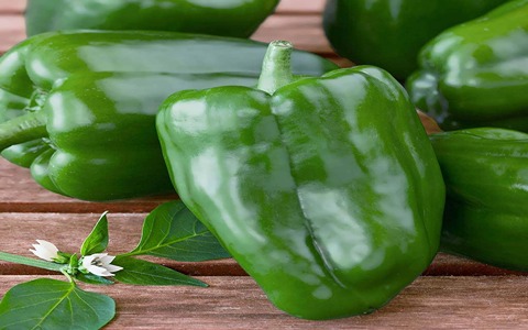تصویر 4 از قیمت خرید فلفل دلمه کیلویی با فروش عمده