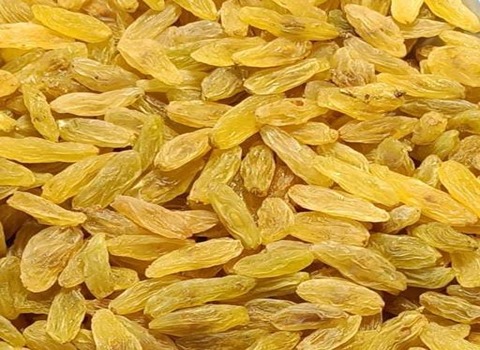 تصویر 3 از فروش کشمش طلایی کاشمر + قیمت خرید به صرفه