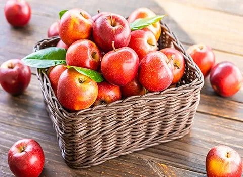 تصویر 4 از خرید سیب درختی قرمز + قیمت فروش استثنایی
