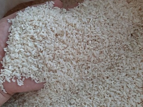 تصویر 1 از قیمت خرید برنج نیم دانه درجه یک عمده به صرفه و ارزان