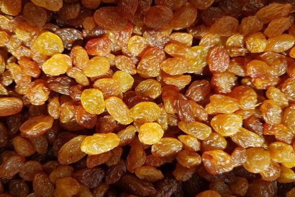تصویر 2 از قیمت کشمش زرد دودی + خرید باور نکردنی