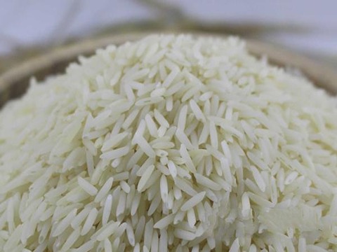 قیمت خرید برنج چمپا اهواز با فروش عمده