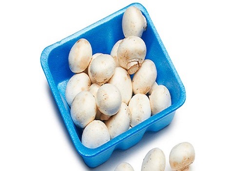 تصویر 3 از قیمت خرید قارچ ریز دکمه ای + فروش ویژه