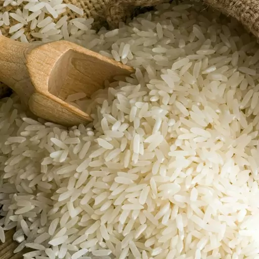 تصویر 3 از خرید و قیمت برنج عنبر بو اعلا + فروش صادراتی