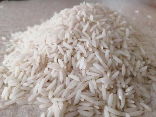 تصویر 1 از قیمت برنج چمپا شوشتر با کیفیت ارزان + خرید عمده