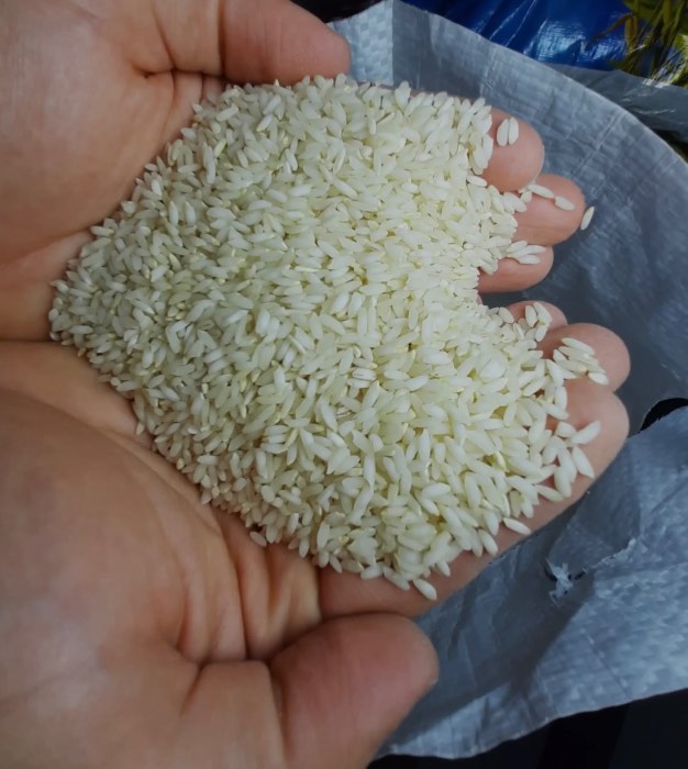 تصویر 4 از فروش برنج چمپا اهواز + قیمت خرید به صرفه