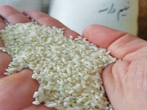 قیمت برنج نیم دانه ایرانی با کیفیت ارزان + خرید عمده