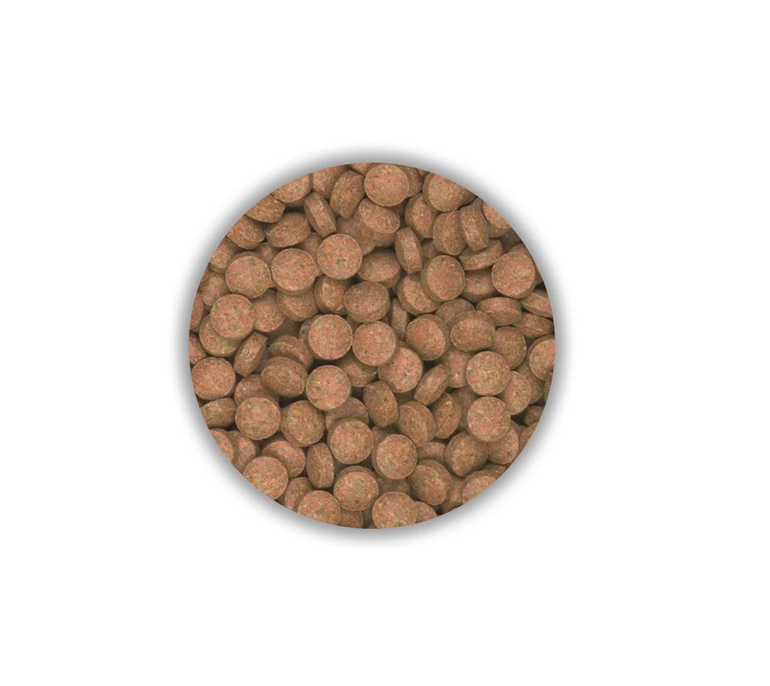 تصویر 3 از قیمت غذا ماهی تروپیکال با کیفیت ارزان + خرید عمده