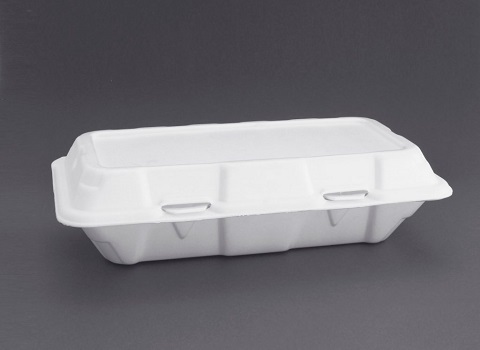 قیمت ظرف دو پرسی یکبار مصرف گیاهی + خرید باور نکردنی