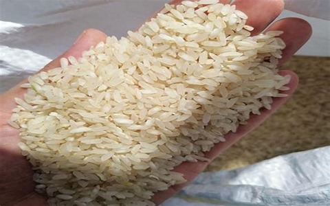 تصویر 4 از قیمت برنج کامفیروز درجه یک + فروش ویژه