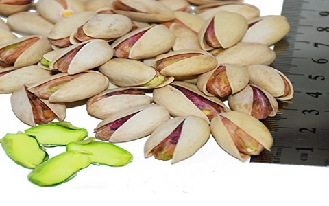 تصویر 3 از خرید و قیمت پسته گهربد + فروش صادراتی