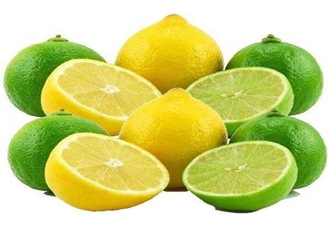 تصویر 3 از قیمت لیمو ترش شیرازی + خرید باور نکردنی