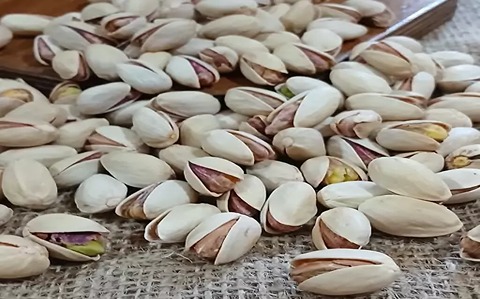 تصویر 4 از خرید پسته خام کرمان + قیمت فروش استثنایی