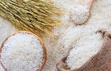تصویر 3 از قیمت خرید برنج کامفیروز ایزدی + فروش ویژه